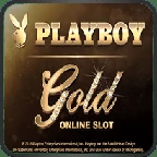 Microgaming slot