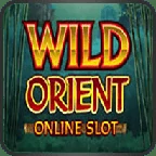 Microgaming slot